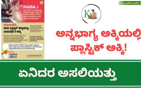 ಅನ್ನಭಾಗ್ಯ ಅಕ್ಕಿಯಲ್ಲಿ ಪ್ಲಾಸ್ಟಿಕ್ ಅಕ್ಕಿ! ಏನಿದರ ಅಸಲಿಯತ್ತು-Annabhagya akki plastic rice