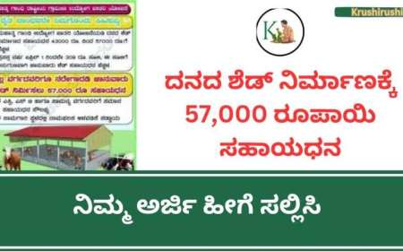 ದನದ ಶೆಡ್,ಕುರಿ ಶೆಡ್,ಕೋಳಿ ಶೆಡ್ ನಿರ್ಮಾಣಕ್ಕೆ ಎಲ್ಲಾ ವರ್ಗಗಳಿಗೂ 57,000 ರೂಪಾಯಿ ಸಹಾಯಧನ,ನಿಮ್ಮ ಅರ್ಜಿ ಹೀಗೆ ಸಲ್ಲಿಸಿ-Cattle shed subsidy