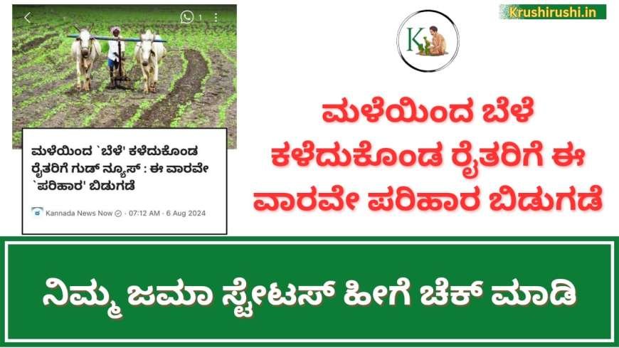 ಮಳೆಯಿಂದ ಬೆಳೆ ಕಳೆದುಕೊಂಡ ರೈತರಿಗೆ ಈ ವಾರವೇ ಪರಿಹಾರ ಬಿಡುಗಡೆ,ನಿಮ್ಮ ಜಮಾ ಹೀಗೆ ಚೆಕ್ ಮಾಡಿ-Bele parihara list 2024