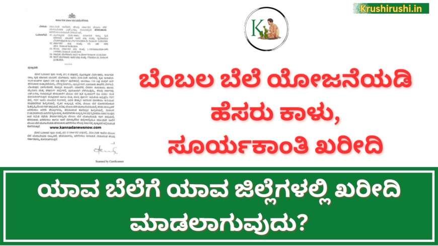 Msp for green gram-ಬೆಂಬಲ ಬೆಲೆ ಯೋಜನೆಯಡಿ ಹೆಸರು ಕಾಳು,ಸೂರ್ಯಕಾಂತಿ ಖರೀದಿ, ಯಾವ ಬೆಲೆಗೆ ಯಾವ ಜಿಲ್ಲೆಗಳಲ್ಲಿ ಖರೀದಿ ಮಾಡಲಾಗುವುದು?-Hesarukalu Bembala bele