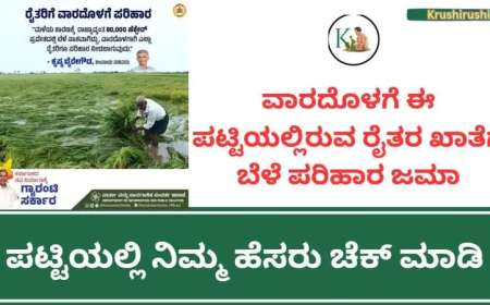 ವಾರದೊಳಗೆ ಈ ಪಟ್ಟಿಯಲ್ಲಿರುವ ರೈತರ ಖಾತೆಗೆ ಬೆಳೆ ಪರಿಹಾರ ಜಮಾ,ಪಟ್ಟಿಯಲ್ಲಿ ನಿಮ್ಮ ಹೆಸರು ಚೆಕ್ ಮಾಡಿ-Bele parihara list