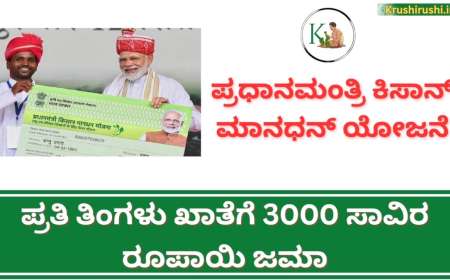 PMKMY-ಪ್ರಧಾನ ಮಂತ್ರಿ ಕಿಸಾನ್ ಮಾನ್ ಧನ ಯೋಜನೆಯಡಿ ಸಿಗಲಿದೆ ಪ್ರತಿ ತಿಂಗಳು 3000 ರೂಪಾಯಿ,ನಿಮ್ಮ ಅರ್ಜಿ ಹೀಗೆ ಸಲ್ಲಿಸಿ-Pradan mantri Kisan man dhan yojane-2024