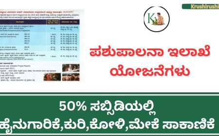 50% ಸಬ್ಸಿಡಿಯಲ್ಲಿ ಹೈನುಗಾರಿಕೆ,ಕುರಿ,ಕೋಳಿ,ಮೇಕೆ,ಹಂದಿ ಸಾಕಾಣೆಕೆಗೆ ಅರ್ಜಿ ಆಹ್ವಾನ-Vetarnary department subsidy schemes 2024
