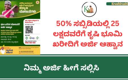 50% ಸಬ್ಸಿಡಿಯಲ್ಲಿ 25 ಲಕ್ಷದವರೆಗೆ ಕೃಷಿ ಭೂಮಿ ಖರೀದಿಗೆ ಅರ್ಜಿ ಆಹ್ವಾನ, ನಿಮ್ಮ ಅರ್ಜಿ ಹೀಗೆ ಸಲ್ಲಿಸಿ-Land purchase subsidy scheme 2024