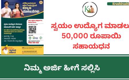 ಸ್ವಯಂ ಉದ್ಯೋಗ ಮಾಡಲು 50,000 ಸಹಾಯಧನ,ನಿಮ್ಮ ಅರ್ಜಿ ಹೀಗೆ ಸಲ್ಲಿಸಿ-Self employment subsidy scheme