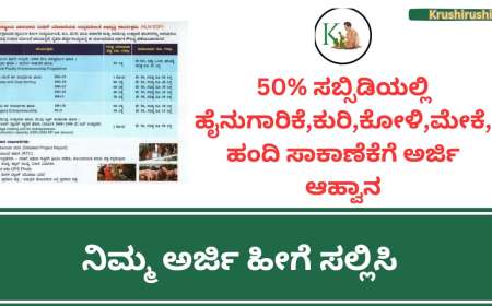 50% ಸಬ್ಸಿಡಿಯಲ್ಲಿ ಹೈನುಗಾರಿಕೆ,ಕುರಿ,ಕೋಳಿ,ಮೇಕೆ,ಹಂದಿ ಸಾಕಾಣೆಕೆಗೆ ಅರ್ಜಿ ಆಹ್ವಾನ-Sheep goat dairy poultry farming subsidy scheme