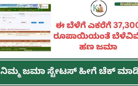 Bele vime status 2024-ಈ ಬೆಳೆಗೆ ಎಕರೆಗೆ 37,300 ರೂಪಾಯಿಯಂತೆ ಬೆಳೆವಿಮೆ ಹಣ ಜಮಾ,ನಿಮ್ಮ ಜಮಾ ಸ್ಟೇಟಸ್ ಹೀಗೆ ಚೆಕ್ ಮಾಡಿ