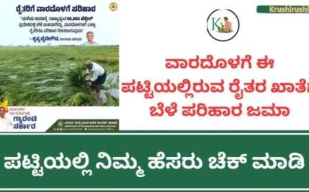 ವಾರದೊಳಗೆ ಈ ಪಟ್ಟಿಯಲ್ಲಿರುವ ರೈತರ ಖಾತೆಗೆ ಬೆಳೆ ಪರಿಹಾರ ಜಮಾ,ಪಟ್ಟಿಯಲ್ಲಿ ನಿಮ್ಮ ಹೆಸರು ಚೆಕ್ ಮಾಡಿ-Bele parihara list 2024