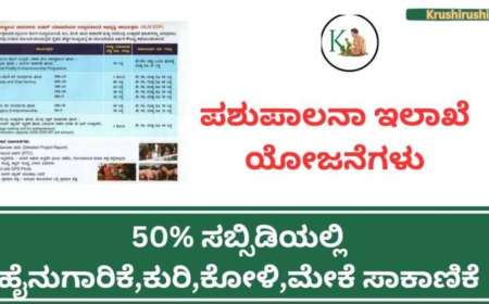 50% ಸಬ್ಸಿಡಿಯಲ್ಲಿ ಹೈನುಗಾರಿಕೆ,ಕುರಿ,ಕೋಳಿ,ಮೇಕೆ,ಹಂದಿ ಸಾಕಾಣೆಕೆಗೆ ಅರ್ಜಿ ಆಹ್ವಾನ-Vetarnary department subsidy schemes 2024