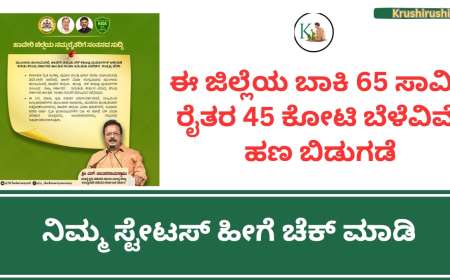 ಬಾಕಿ ಉಳಿದ 65 ಸಾವಿರ ರೈತರಿಗೆ 45 ಕೋಟಿ ಬೆಳೆವಿಮೆ ಹಣ ಬಿಡುಗಡೆ, ನಿಮ್ಮ ಸ್ಟೇಟಸ್ ಹೀಗೆ ಚೆಕ್ ಮಾಡಿ-Belevime hana jama