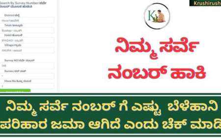 Survey number wise bele parihara-ನಿಮ್ಮ ಯಾವ ಸರ್ವೆ ನಂಬರ್ ಗೆ ಎಷ್ಟು ಬೆಳೆಪರಿಹಾರ ಜಮಾ ಆಗಿದೆ? ನಿಮ್ಮ ಮೊಬೈಲ್ ನಲ್ಲೇ ಚೆಕ್ ಮಾಡುವ ಡೈರೆಕ್ಟ್ ಲಿಂಕ್