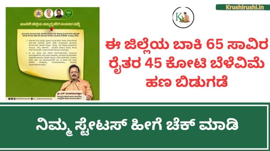 65 ಸಾವಿರ ರೈತರಿಗೆ 45 ಕೋಟಿ ಬೆಳೆವಿಮೆ ಹಣ ಬಿಡುಗಡೆ, ನಿಮ್ಮ ಸ್ಟೇಟಸ್ ಹೀಗೆ ಚೆಕ್ ಮಾಡಿ-Belevime hana bidugade