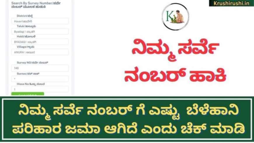 Survey number wise bele parihara-ನಿಮ್ಮ ಯಾವ ಸರ್ವೆ ನಂಬರ್ ಗೆ ಎಷ್ಟು ಬೆಳೆಪರಿಹಾರ ಜಮಾ ಆಗಿದೆ? ನಿಮ್ಮ ಮೊಬೈಲ್ ನಲ್ಲೇ ಚೆಕ್ ಮಾಡುವ ಡೈರೆಕ್ಟ್ ಲಿಂಕ್