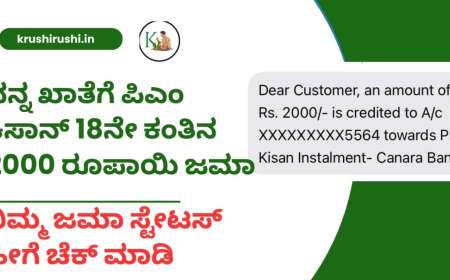 Pmkisan 18th instalment released-9.4 ಕೋಟಿ ರೈತರಿಗೆ ಇಂದು ಪಿಎಂ ಕಿಸಾನ್ 18ನೇ ಕಂತಿನ ಹಣ 2000 ರೂಪಾಯಿ ಜಮಾ ,ನಿಮ್ಮ ಜಮಾ ಸ್ಟೇಟಸ್ ಚೆಕ್ ಮಾಡುವ ಡೈರೆಕ್ಟ್ ಲಿಂಕ್