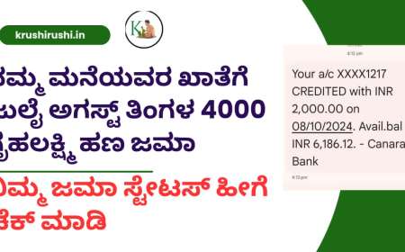ನಮ್ಮ ಮನೆಯವರ ಖಾತೆಗೆ ಜುಲೈ ಅಗಸ್ಟ್ ತಿಂಗಳ 4000 ಗೃಹಲಕ್ಷ್ಮಿ ಹಣ ಜಮಾ,ನಿಮ್ಮ ಜಮಾ ಸ್ಟೇಟಸ್ ಹೀಗೆ ಚೆಕ್ ಮಾಡಿ-July month Gruhalakshmi amount deposited