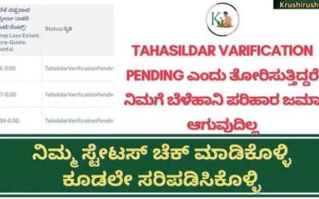 Tahasildar varification ಸ್ಟೇಟಸ್ ನಲ್ಲಿ approved ಎಂದು ತೋರಿಸುತ್ತಿದ್ದರೆ ಮಾತ್ರ ವಾರದೊಳಗೆ ಬೆಳೆಹಾನಿ ಪರಿಹಾರ ಜಮಾ, ನಿಮ್ಮ ಸ್ಟೇಟಸ್ ಚೆಕ್ ಮಾಡಿಕೊಳ್ಳಿ