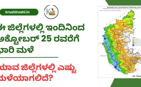 Male munsuchane-ಈ ಜಿಲ್ಲೆಗಳಲ್ಲಿ ಇಂದಿನಿಂದ ಅಕ್ಟೋಬರ್ 25 ರವರೆಗೆ ಭಾರಿ ಮಳೆ,ಯಾವ ಜಿಲ್ಲೆಗಳಲ್ಲಿ ಎಷ್ಟು ಮಳೆಯಾಗಲಿದೆ?