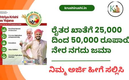 Rkvy scheme-ರೈತರ ಖಾತೆಗೆ 25,000 ದಿಂದ 50,000 ರೂಪಾಯಿ ನೇರ ನಗದು ಜಮಾ,ನಿಮ್ಮ ಅರ್ಜಿ ಹೀಗೆ ಸಲ್ಲಿಸಿ