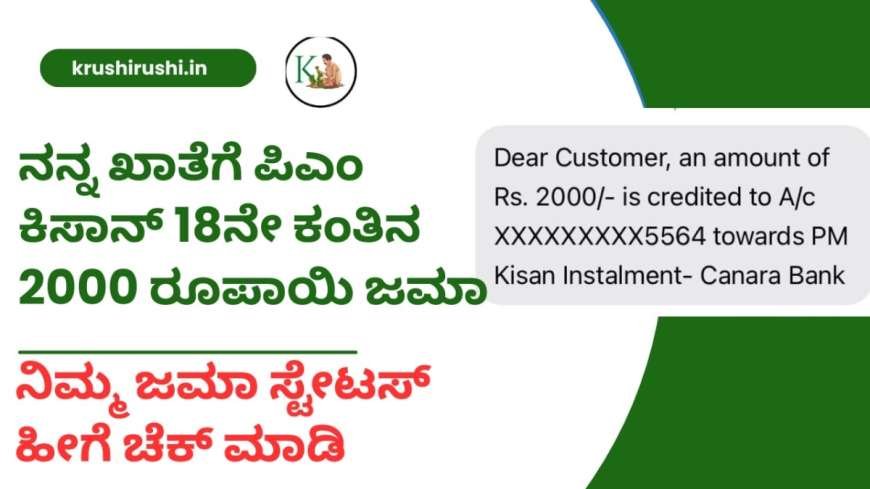 Pmkisan 18th instalment released-9.4 ಕೋಟಿ ರೈತರಿಗೆ ಇಂದು ಪಿಎಂ ಕಿಸಾನ್ 18ನೇ ಕಂತಿನ ಹಣ 2000 ರೂಪಾಯಿ ಜಮಾ ,ನಿಮ್ಮ ಜಮಾ ಸ್ಟೇಟಸ್ ಚೆಕ್ ಮಾಡುವ ಡೈರೆಕ್ಟ್ ಲಿಂಕ್