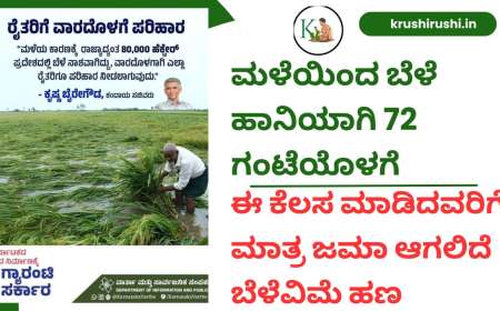 Bele vime news-ಮಳೆಯಿಂದ ಬೆಳೆ ಹಾನಿಯಾಗಿ 72 ಗಂಟೆಯೊಳಗೆ ಈ ಕೆಲಸ ಮಾಡಿದವರಿಗೆ ಮಾತ್ರ ಜಮಾ ಆಗಲಿದೆ ಬೆಳೆವಿಮೆ