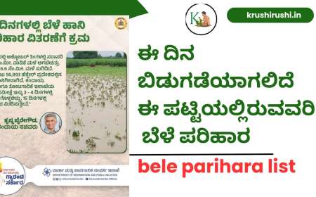 Bele parihar list-2024:ಈ ದಿನ ಬಿಡುಗಡೆಯಾಗಲಿದೆ ಈ ಪಟ್ಟಿಯಲ್ಲಿರುವವರಿಗೆ ಬೆಳೆ ಪರಿಹಾರ