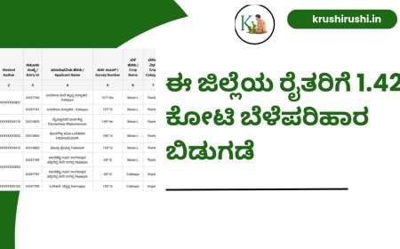 Bele parihara bidugade-ಈ ಜಿಲ್ಲೆಯ ರೈತರಿಗೆ 1.42 ಕೋಟಿ ಬೆಳೆಪರಿಹಾರ ಬಿಡುಗಡೆ,ನಿಮ್ಮ ಜಮಾ ಸ್ಟೇಟಸ್ ಹೀಗೆ ಚೆಕ್ ಮಾಡಿ