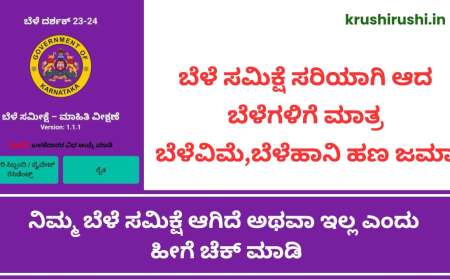 Bele samikshe status-ಬೆಳೆ ಸಮಿಕ್ಷೆ ಸರಿಯಾಗಿ ಆದ ಬೆಳೆಗಳಿಗೆ ಮಾತ್ರ ಬೆಳೆವಿಮೆ ಬೆಳೆಹಾನಿ ಹಣ,ನಿಮ್ಮ ಬೆಳೆ ಸಮಿಕ್ಷೆ ಸರಿಯಾಗಿ ಆಗಿದೆಯಾ ಚೆಕ್ ಮಾಡಿಕೊಳ್ಳಿ