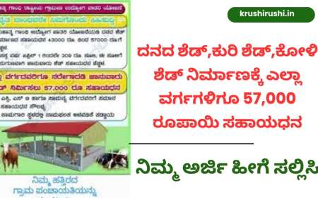 ದನದ ಶೆಡ್,ಕುರಿ ಶೆಡ್,ಕೋಳಿ ಶೆಡ್ ನಿರ್ಮಾಣಕ್ಕೆ ಎಲ್ಲಾ ವರ್ಗಗಳಿಗೂ 57,000 ರೂಪಾಯಿ ಸಹಾಯಧನ,ನಿಮ್ಮ ಅರ್ಜಿ ಹೀಗೆ ಸಲ್ಲಿಸಿ-Cattle shed subsidy
