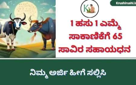 1 ಹಸು 1 ಎಮ್ಮೆ ಸಾಕಾಣಿೆಕೆಗೆ 65 ಸಾವಿರ ಸಹಾಯಧನ ಪಡೆಯಲು ಅರ್ಜಿ ಆಹ್ವಾನ,ನಿಮ್ಮ ಅರ್ಜಿ ಹೀಗೆ ಸಲ್ಲಿಸಿ-Dairy farming