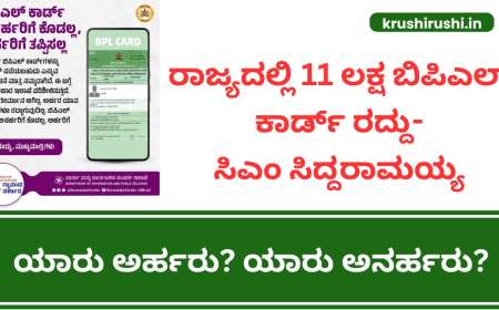 Ration card eligible and ineligible list-ರಾಜ್ಯದಲ್ಲಿ 11 ಲಕ್ಷ ಬಿಪಿಎಲ್ ಕಾರ್ಡ್ ರದ್ದು-ಸಿಎಂ ಸಿದ್ದರಾಮಯ್ಯ, ಯಾರು ಅರ್ಹರು? ಯಾರು ಅನರ್ಹರು?