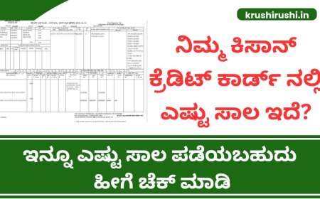 Kisan credit card loan-ನಿಮ್ಮ ಕಿಸಾನ್ ಕ್ರೆಡಿಟ್ ಕಾರ್ಡ್ ನಲ್ಲಿ ಎಷ್ಟು ಸಾಲ ಇದೆ? ಇನ್ನೂ ಎಷ್ಟು ಸಾಲ ಪಡೆಯಬಹುದು ಹೀಗೆ ಚೆಕ್ ಮಾಡಿ