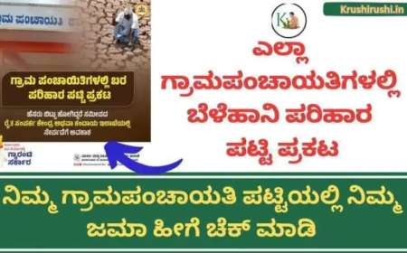 Belehani parihara patti prakata-ಎಲ್ಲಾ ಗ್ರಾಮಪಂಚಾಯತಿಗಳಲ್ಲಿ ಬೆಳೆಹಾನಿ ಪರಿಹಾರ ಪಟ್ಟಿ ಪ್ರಕಟ,ನಿಮ್ಮ ಗ್ರಾಮಪಂಚಾಯತಿ ಪಟ್ಟಿಯಲ್ಲಿ ನಿಮ್ಮ ಜಮಾ ಹೀಗೆ ಚೆಕ್ ಮಾಡಿ