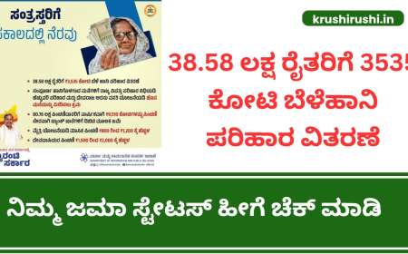 38.58 ಲಕ್ಷ ರೈತರಿಗೆ 3535 ಕೋಟಿ ಬೆಳೆಹಾನಿ ಪರಿಹಾರ ವಿತರಣೆ, ನಿಮ್ಮ ಜಮಾ ಸ್ಟೇಟಸ್ ಹೀಗೆ ಚೆಕ್ ಮಾಡಿ-Input subsidy for croploss