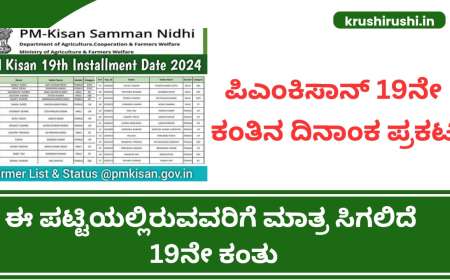 ಪಿಎಂಕಿಸಾನ್ 19ನೇ ಕಂತಿನ ದಿನಾಂಕ ಪ್ರಕಟ,ಈ ಪಟ್ಟಿಯಲ್ಲಿರುವವರಿಗೆ ಮಾತ್ರ ಸಿಗಲಿದೆ 19ನೇ ಕಂತು-Pmkisan 19th instalment date