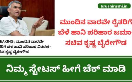 ಮುಂದಿನ ವಾರವೇ ರೈತರಿಗೆ ಬೆಳೆ ಹಾನಿ ಪರಿಹಾರ ಜಮಾ-ಸಚಿವ ಕೃಷ್ಣ ಬೈರೇಗೌಡ, ನಿಮ್ಮ ಸ್ಟೇಟಸ್ ಹೀಗೆ ಚೆಕ್ ಮಾಡಿ-Input subsidy for crop loss 1709