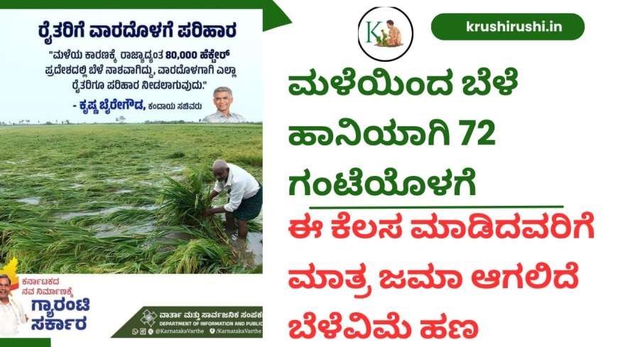 Bele vime news-ಮಳೆಯಿಂದ ಬೆಳೆ ಹಾನಿಯಾಗಿ 72 ಗಂಟೆಯೊಳಗೆ ಈ ಕೆಲಸ ಮಾಡಿದವರಿಗೆ ಮಾತ್ರ ಜಮಾ ಆಗಲಿದೆ ಬೆಳೆವಿಮೆ