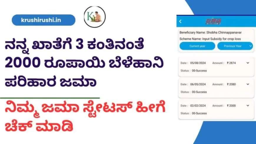 ನನ್ನ ಖಾತೆಗೆ 3 ಕಂತಿನಂತೆ 2000 ರೂಪಾಯಿ ಬೆಳೆಹಾನಿ ಪರಿಹಾರ ಜಮಾ-Input subsidy for croploss