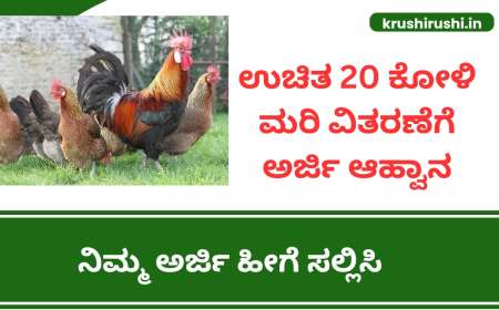 Koli sakanike-ಉಚಿತವಾಗಿ 20 ಕೋಳಿ ಮರಿ ವಿತರಣೆಗೆ ಅರ್ಜಿ ಆಹ್ವಾನ