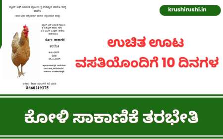 Koli sakanike tharabethi-ಉಚಿತ ಊಟ ವಸತಿಯೊಂದಿಗೆ 10 ದಿನಗಳ ಕೋಳಿ ಸಾಕಾಣಿಕೆ ತರಭೇತಿ