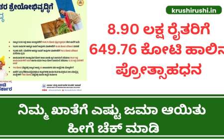 Milk incentive-8.90 ಲಕ್ಷ ರೈತರಿಗೆ 649.76 ಕೋಟಿ ಹಾಲಿನ ಪ್ರೋತ್ಸಾಹಧನ, ನಿಮ್ಮ ಖಾತೆಗೆ ಎಷ್ಟು ಜಮಾ ಆಯಿತು ಹೀಗೆ ಚೆಕ್ ಮಾಡಿ