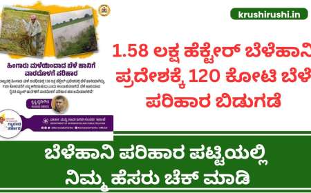 Bele parihara list-1.58 ಲಕ್ಷ ಹೆಕ್ಟೇರ್ ಬೆಳೆಹಾನಿ ಪ್ರದೇಶಕ್ಕೆ 120 ಕೋಟಿ ಬೆಳೆ ಪರಿಹಾರ ಬಿಡುಗಡೆ,ಬೆಳೆಹಾನಿ ಪರಿಹಾರ ಪಟ್ಟಿಯಲ್ಲಿ ನಿಮ್ಮ ಹೆಸರು ಚೆಕ್ ಮಾಡಿ