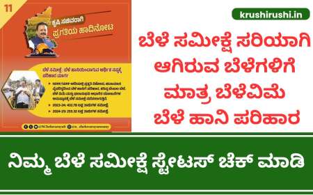 Bele samikshe status-ಬೆಳೆ ಸಮೀಕ್ಷೆ ಸರಿಯಾಗಿ ಆಗಿರುವ ಬೆಳೆಗಳಿಗೆ ಮಾತ್ರ ಬೆಳೆವಿಮೆ ಬೆಳೆ ಹಾನಿ ಪರಿಹಾರ, ನಿಮ್ಮ ಬೆಳೆ ಸಮೀಕ್ಷೆ ಸ್ಟೇಟಸ್ ಚೆಕ್ ಮಾಡಿ
