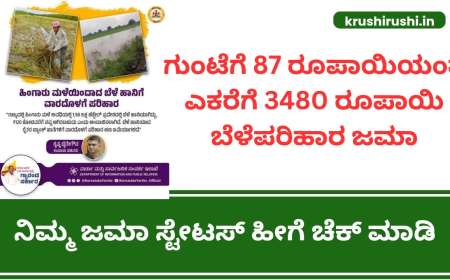 Parihara karnataka-ಗುಂಟೆಗೆ 87 ರೂಪಾಯಿಯಂತೆ ಎಕರೆಗೆ 3480 ರೂಪಾಯಿ ಬೆಳೆಪರಿಹಾರ ಜಮಾ,ನಿಮ್ಮ ಜಮಾ ಸ್ಟೇಟಸ್ ಹೀಗೆ ಚೆಕ್ ಮಾಡಿ