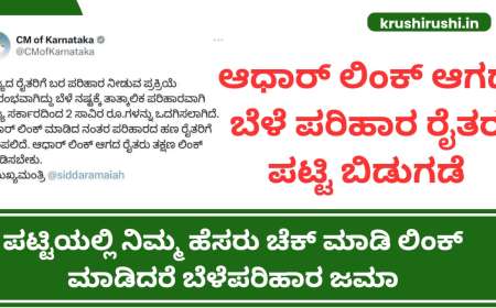 ಆಧಾರ್ ಲಿಂಕ್ ಆಗದ ಬೆಳೆ ಪರಿಹಾರ ರೈತರ ಪಟ್ಟಿ ಬಿಡುಗಡೆ, ಪಟ್ಟಿಯಲ್ಲಿ ನಿಮ್ಮ ಹೆಸರು ಚೆಕ್ ಮಾಡಿ ಲಿಂಕ್ ಮಾಡಿದರೆ ಬೆಳೆಪರಿಹಾರ ಜಮಾ-Aadhaar not linked croploss farmers list