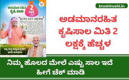 Without collateral loan-ಅಡಮಾನರಹಿತ ಕೃಷಿಸಾಲ ಮಿತಿ 2 ಲಕ್ಷಕ್ಕೆ ಹೆಚ್ಚಳ, ನಿಮ್ಮ ಹೊಲದ ಮೇಲೆ ಎಷ್ಟು ಸಾಲ ಇದೆ ಹೀಗೆ ಚೆಕ್ ಮಾಡಿ