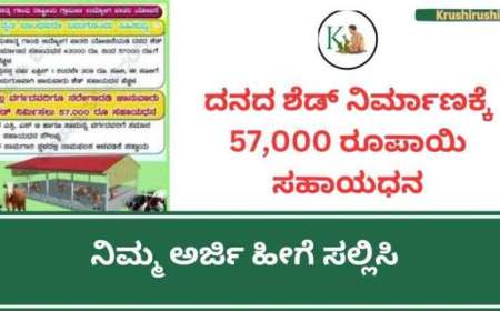ದನದ ಶೆಡ್,ಕುರಿ ಶೆಡ್,ಕೋಳಿ ಶೆಡ್ ನಿರ್ಮಾಣಕ್ಕೆ ಎಲ್ಲಾ ವರ್ಗಗಳಿಗೂ 57,000 ರೂಪಾಯಿ ಸಹಾಯಧನ,ನಿಮ್ಮ ಅರ್ಜಿ ಹೀಗೆ ಸಲ್ಲಿಸಿ-Cattle shed subsidy