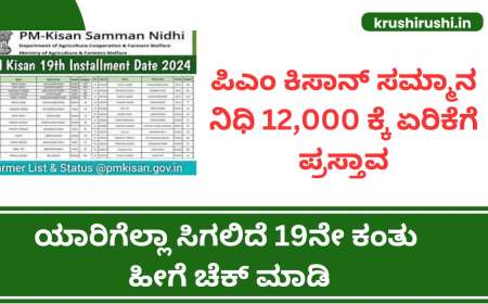 ಪಿಎಂ ಕಿಸಾನ್ ಸಮ್ಮಾನ ನಿಧಿ 12,000 ಕ್ಕೆ ಏರಿಕೆಗೆ ಪ್ರಸ್ತಾವನೆ, ಯಾರಿಗೆಲ್ಲಾ ಸಿಗಲಿದೆ 19ನೇ ಕಂತು ಹೀಗೆ ಚೆಕ್ ಮಾಡಿ-Pmkisan 19th instalment