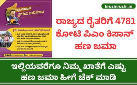 ರಾಜ್ಯದ ರೈತರಿಗೆ 4781 ಕೋಟಿ ಪಿಎಂ ಕಿಸಾನ್ ಹಣ ಜಮಾ, ಇಲ್ಲಿಯವರೆಗೂ ನಿಮ್ಮ ಖಾತೆಗೆ ಎಷ್ಟು ಹಣ ಜಮಾ ಹೀಗೆ ಚೆಕ್ ಮಾಡಿ-Pmkisan beneficiary status