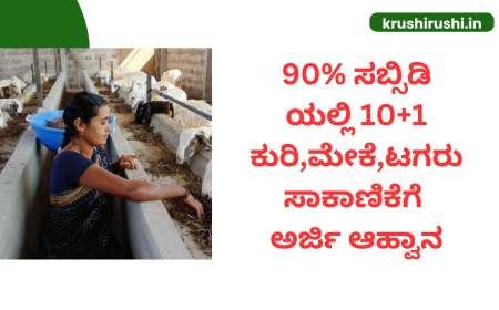 Kuri sakanike-90% ಸಬ್ಸಿಡಿಯಲ್ಲಿ 10+1 ಕುರಿ,ಮೇಕೆ,ಟಗರು ಸಾಕಾಣಿಕೆಗೆ ಅರ್ಜಿ ಆಹ್ವಾನ