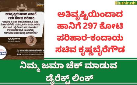 ಅತಿವೃಷ್ಟಿಯಿಂದಾದ ಹಾನಿಗೆ 297 ಕೋಟಿ ಪರಿಹಾರ-ಕಂದಾಯ ಸಚಿವ ಕೃಷ್ಣಬೈರೆಗೌಡ, ನಿಮ್ಮ ಜಮಾ ಚೆಕ್ ಮಾಡುವ ಡೈರೆಕ್ಟ್ ಲಿಂಕ್-Input subsidy for croploss
